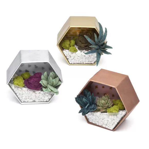 ann-williams Craft Crush® Mini Terrariums Flash Sale